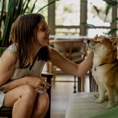 bg-2-Pet-Ma Imagen Home, Perro siendo acariciado Petma.